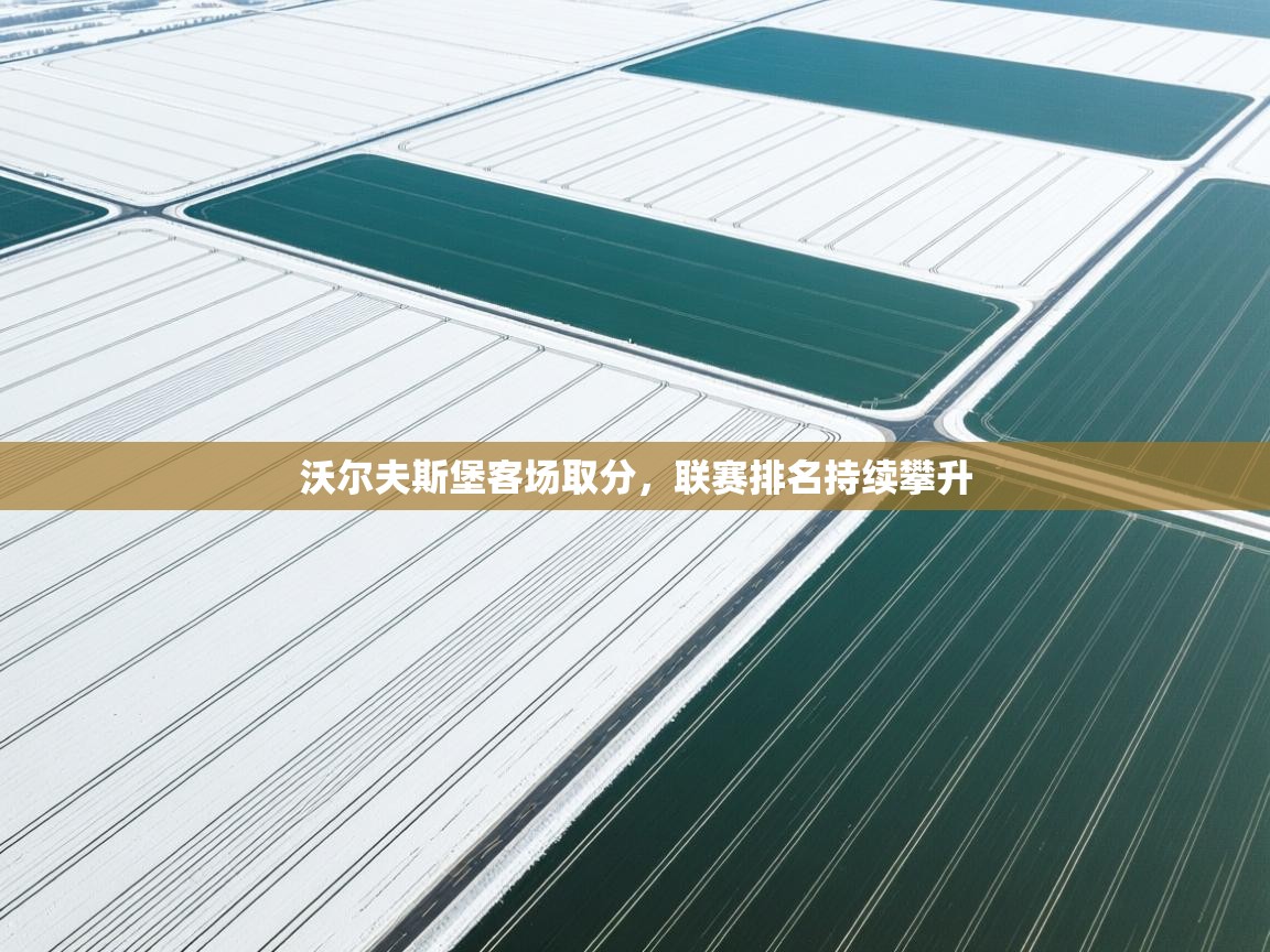 沃尔夫斯堡客场取分，联赛排名持续攀升  第2张