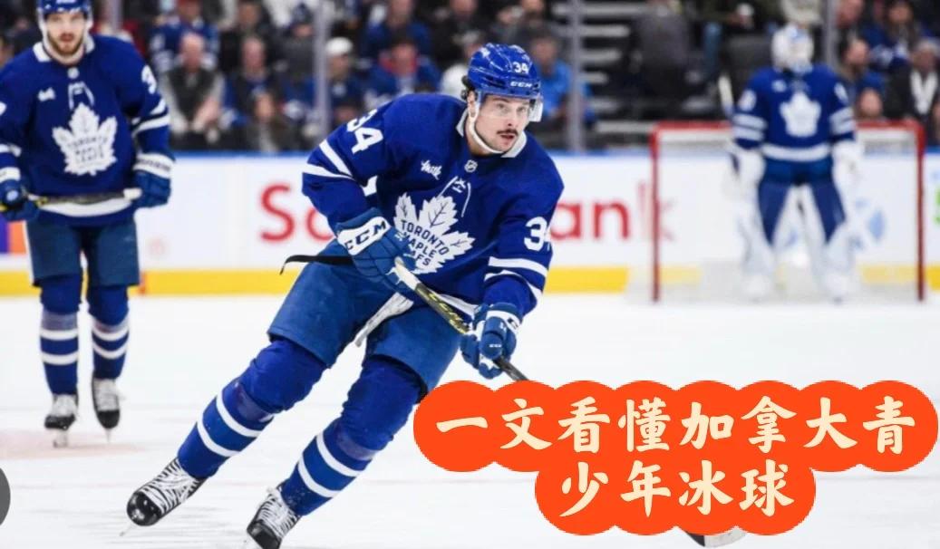 爱游戏-加拿大冰球团队横扫所有对手，夺冠实至名归