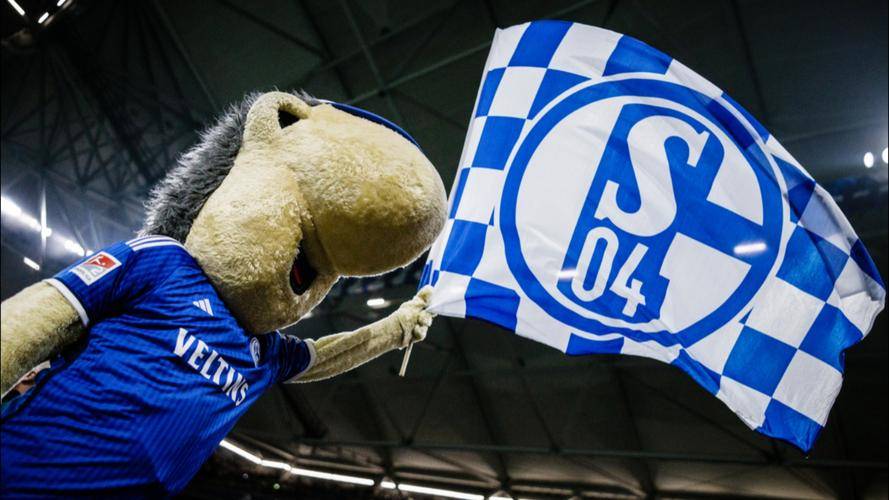 爱游戏官网-摩纳哥球员加盟沙尔克，助力球队挽回颓势