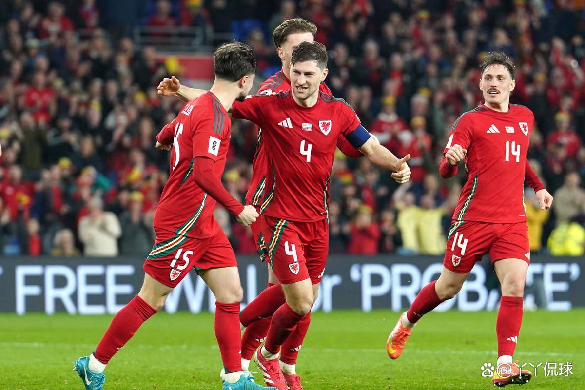 威尔士队在比赛中取得关键胜利! 威尔士队在比赛中取得关键胜利!